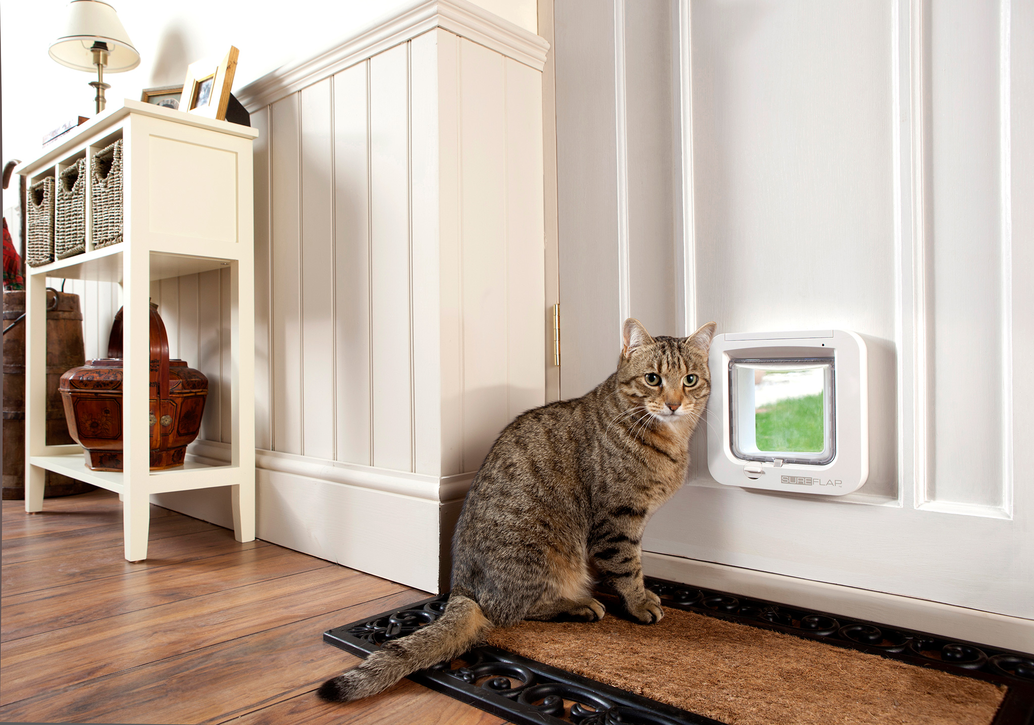 Things You Need To Know About Cat Flap Installations - Hereby.Co.Uk
